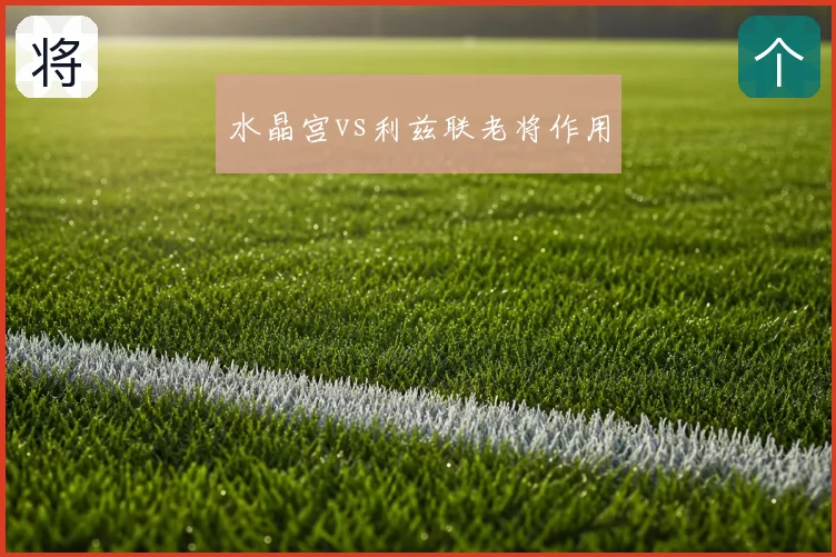 水晶宫vs利兹联老将作用